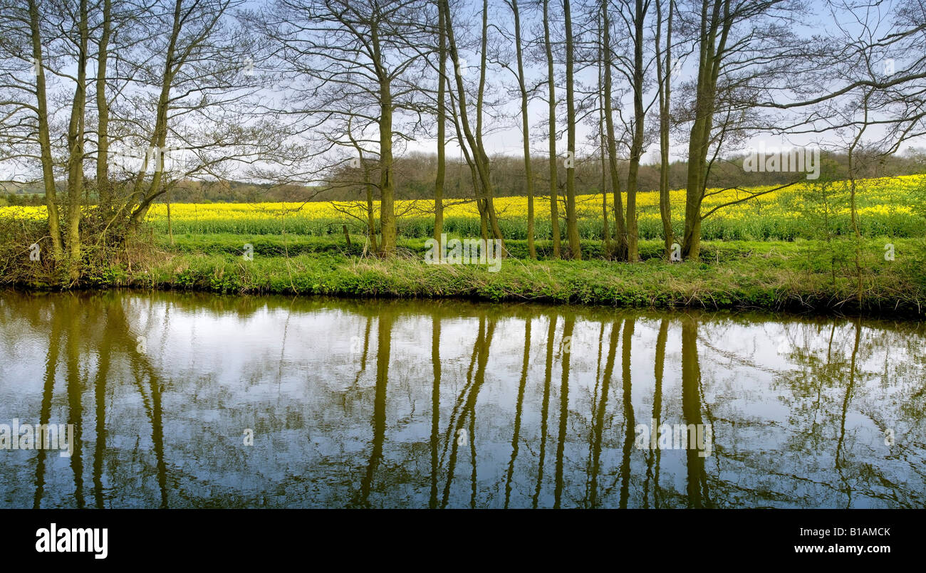 The banks of a river with bushes and trees Stock Photo - Alamy