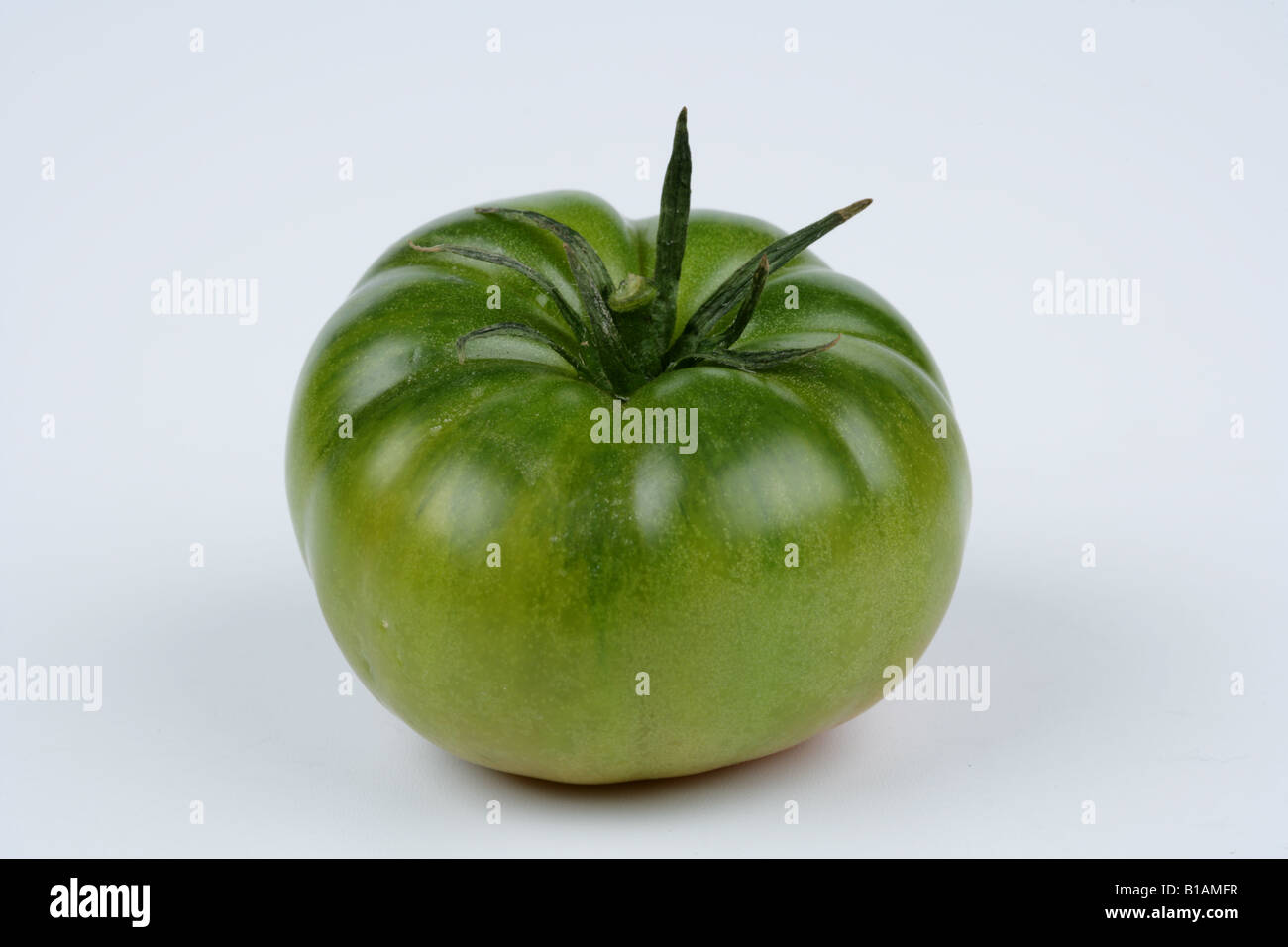 Green tomato on white background Stock Photo - Alamy