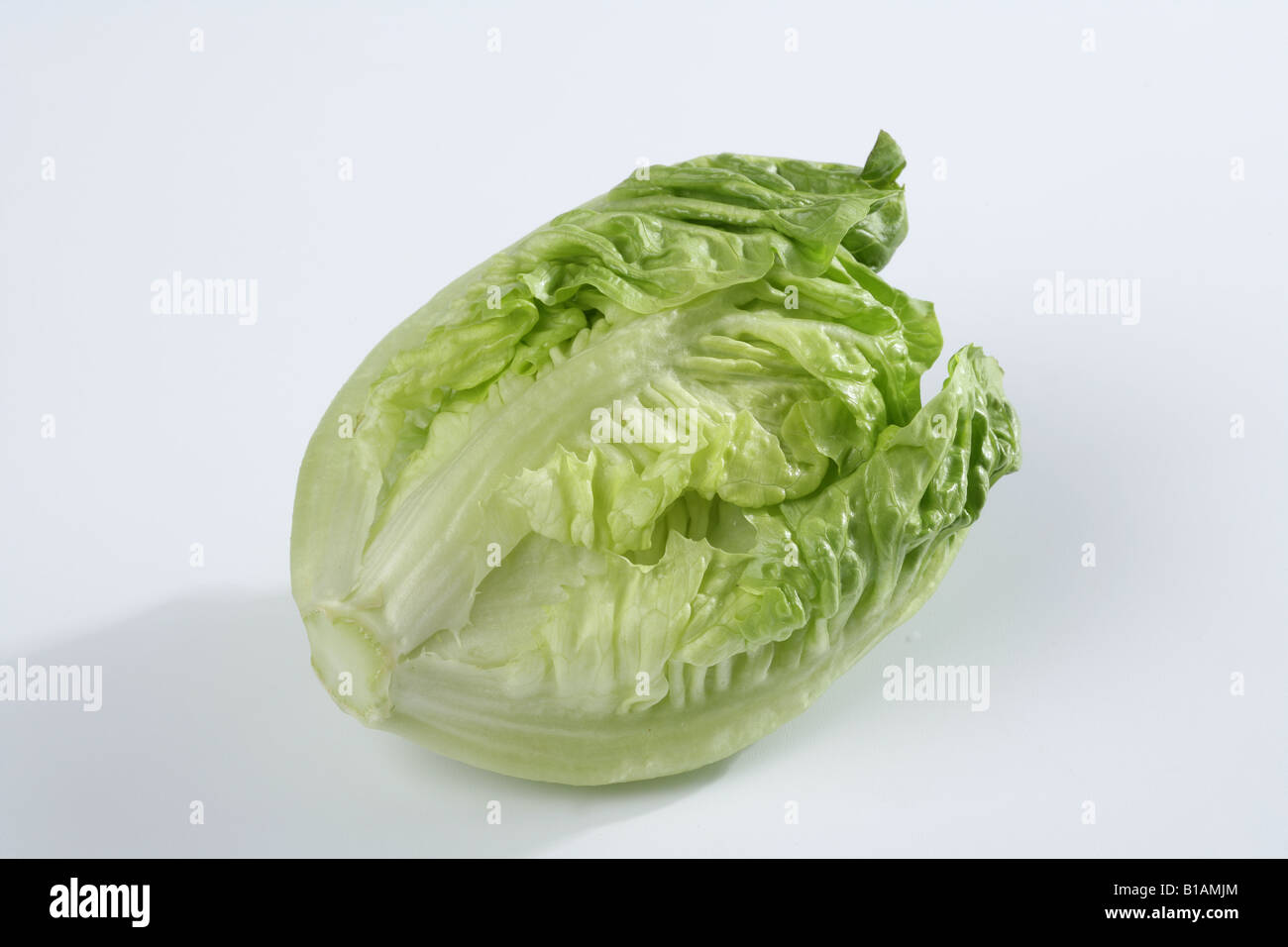 Lettuce heart on white background Stock Photo Alamy