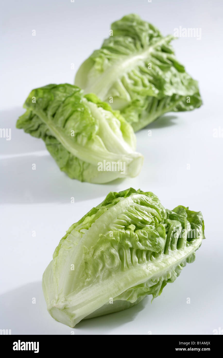 Three lettuce hearts on white background Stock Photo Alamy