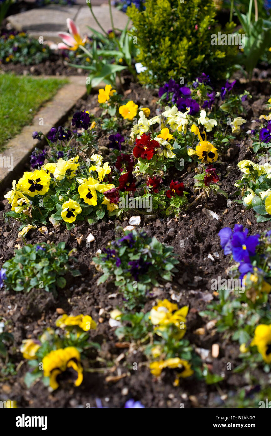 Garden borders hi-res stock photography and images - Alamy