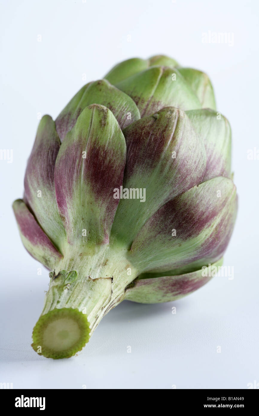 One artichoke Stock Photo