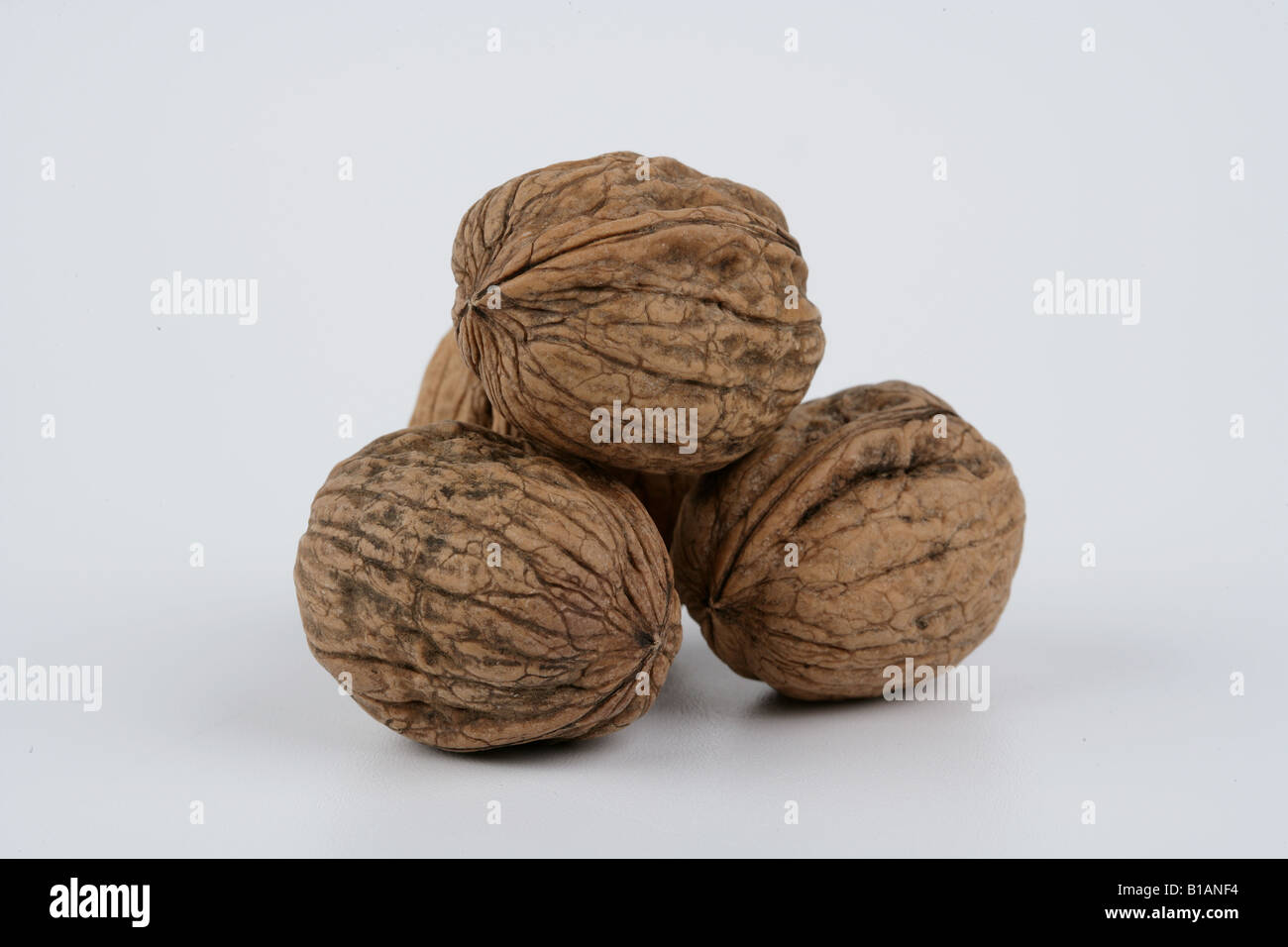 Four walnuts on white background Stock Photo - Alamy