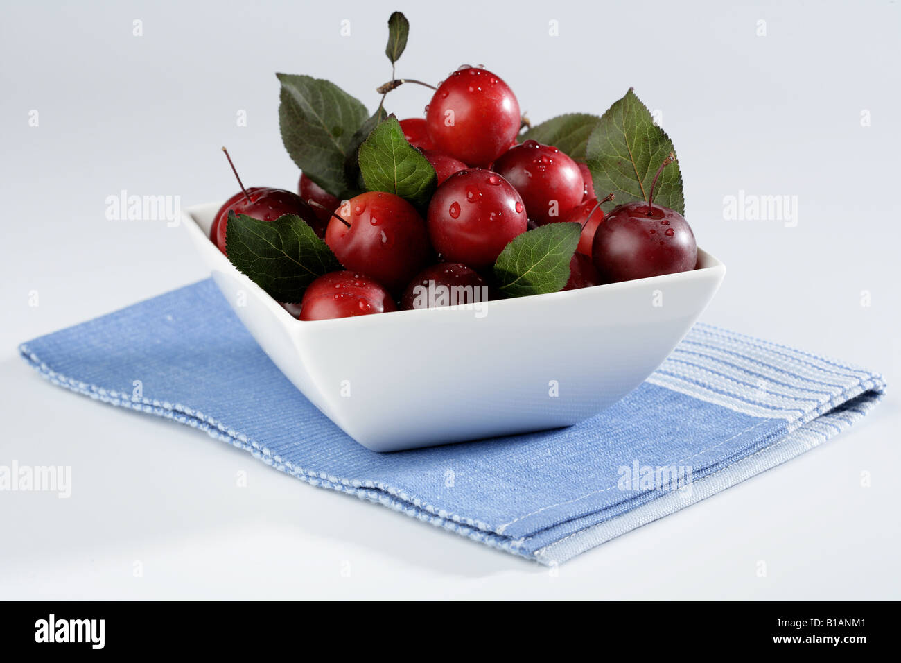 Freshly harvested plums on a blue cloth Stock Photo