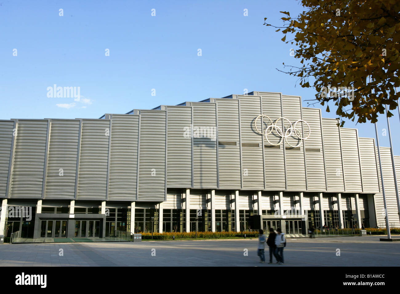 China Agricultural University Gymnasium,Beijing,China Stock Photo Alamy