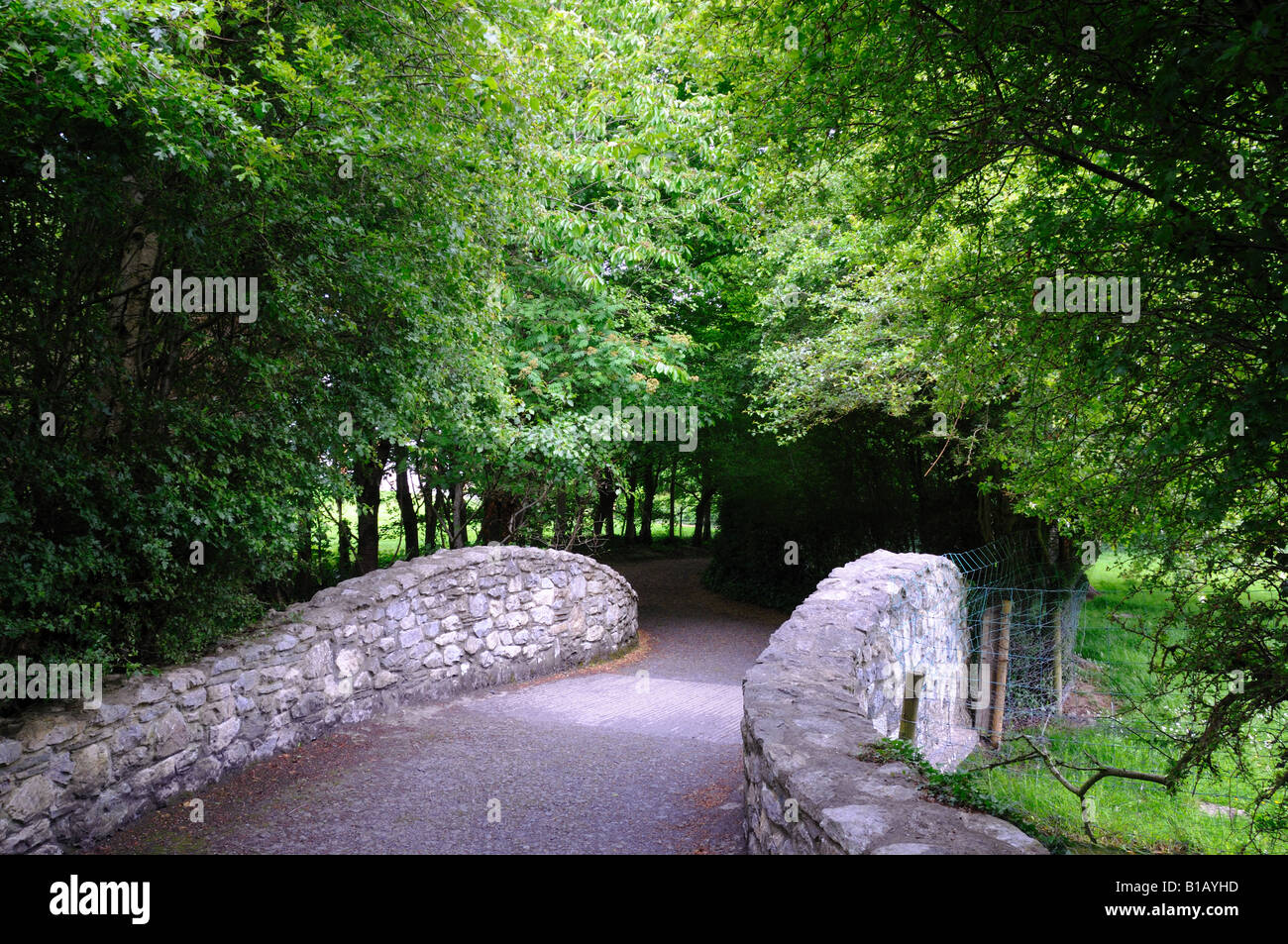 A stone bridge in the Irish countryside. Stock Photo