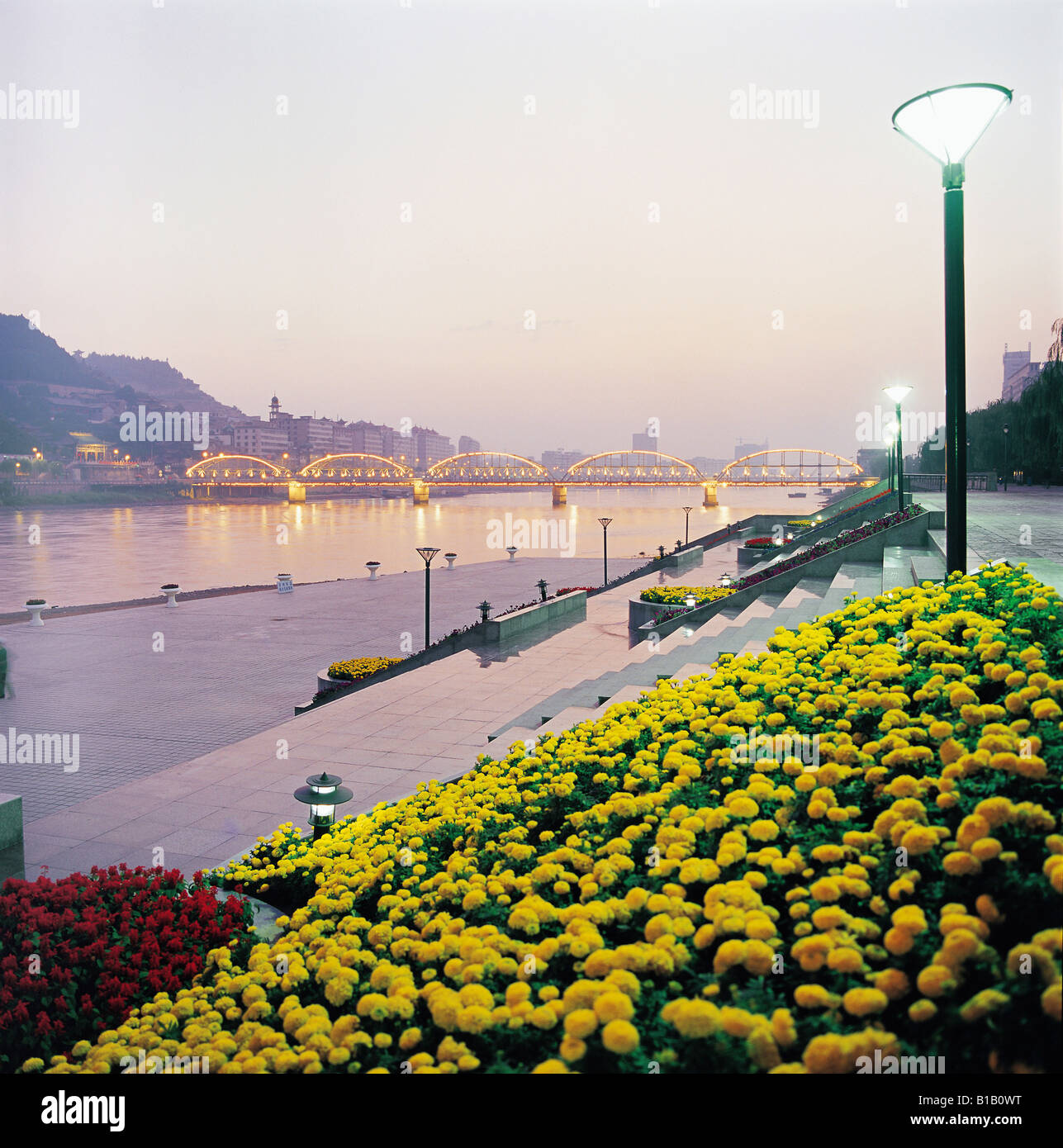 bridge over Yellow River at night,Lanzhou,Gansu,China,yellow flowers in the foreground Stock Photo