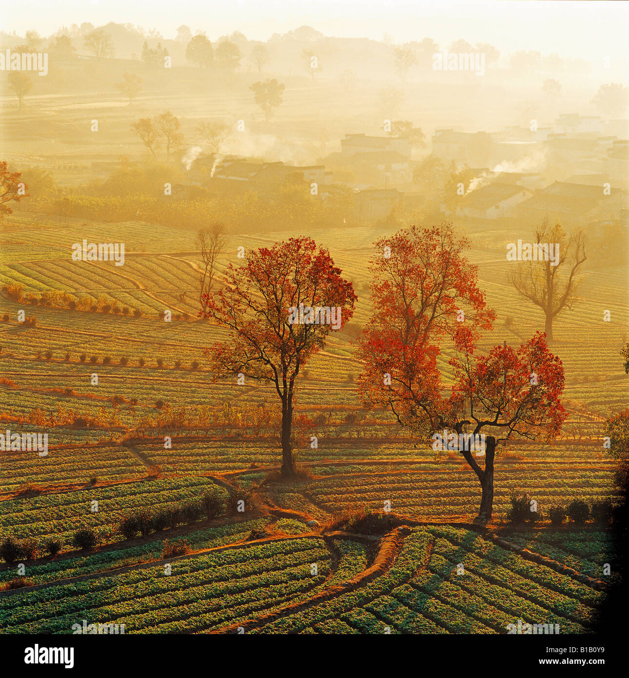 high angle view of village in sunlight in area of ancient Huizhou,Anhui,China Stock Photo