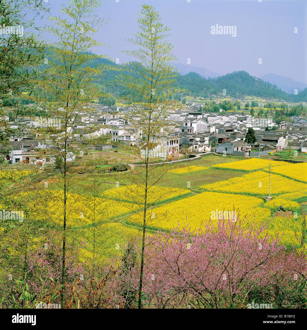 high angle view of village and field in area of ancient Huizhou,Anhui,China Stock Photo