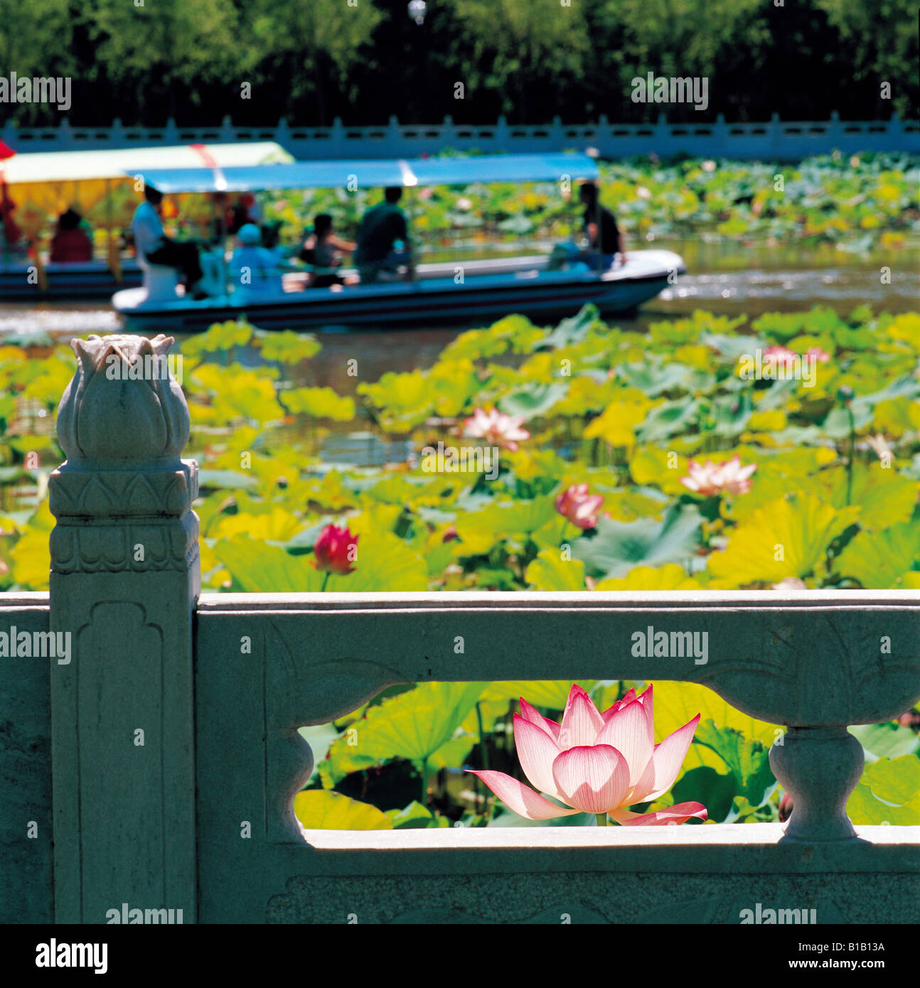 Chinese traditional stone railing by pond full of water lilies,tourists ...