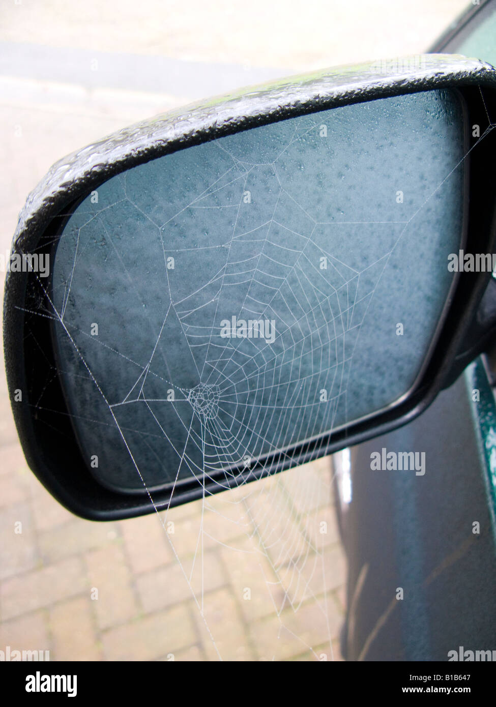 Frost on spider web hires stock photography and images Alamy