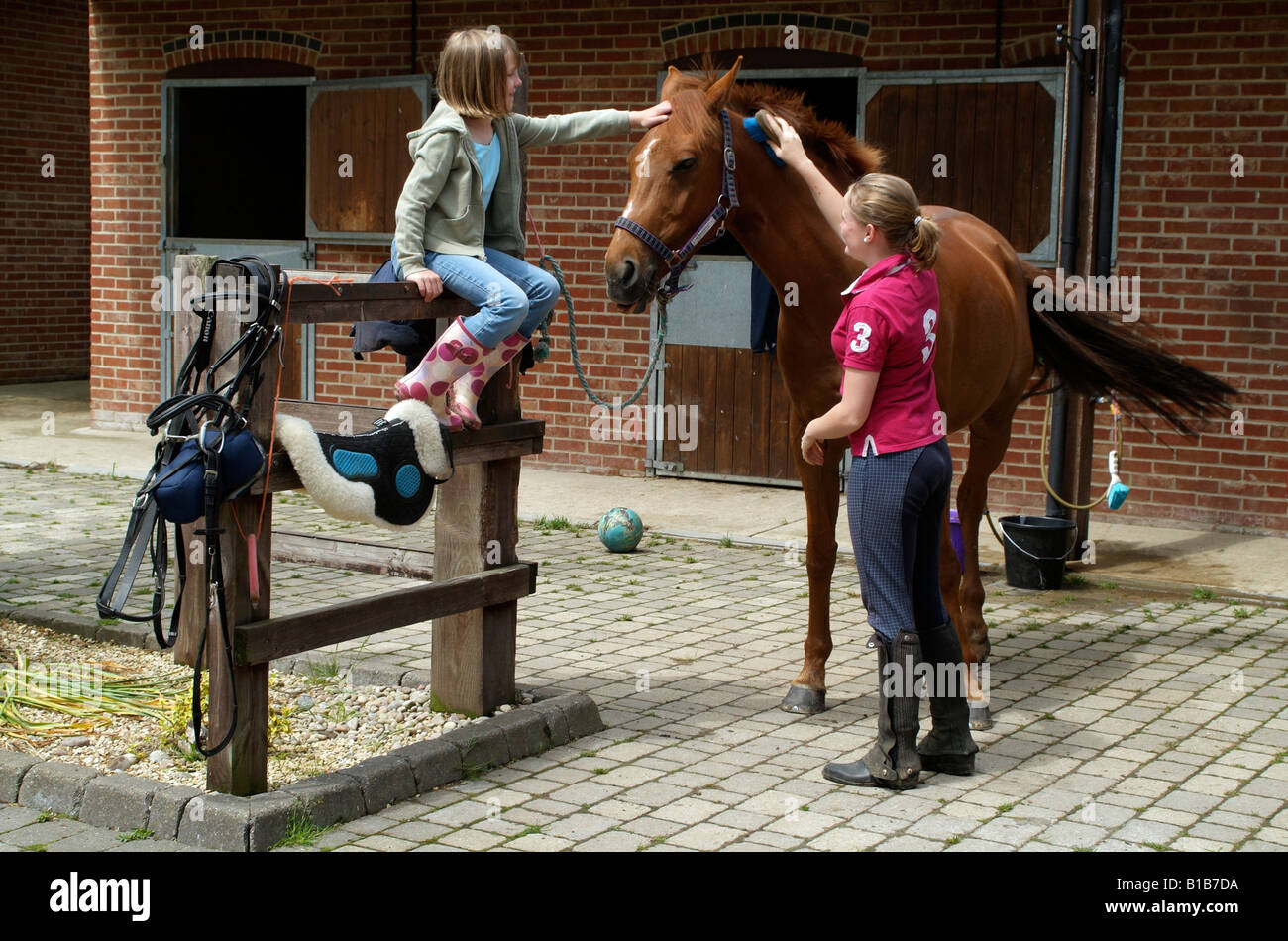 Stableyard Stableyard hi-res stock photography and images - Alamy
