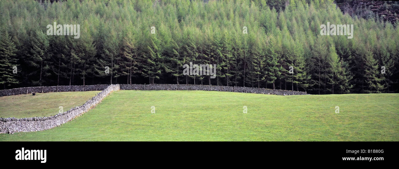 Field stone wall hi-res stock photography and images - Alamy