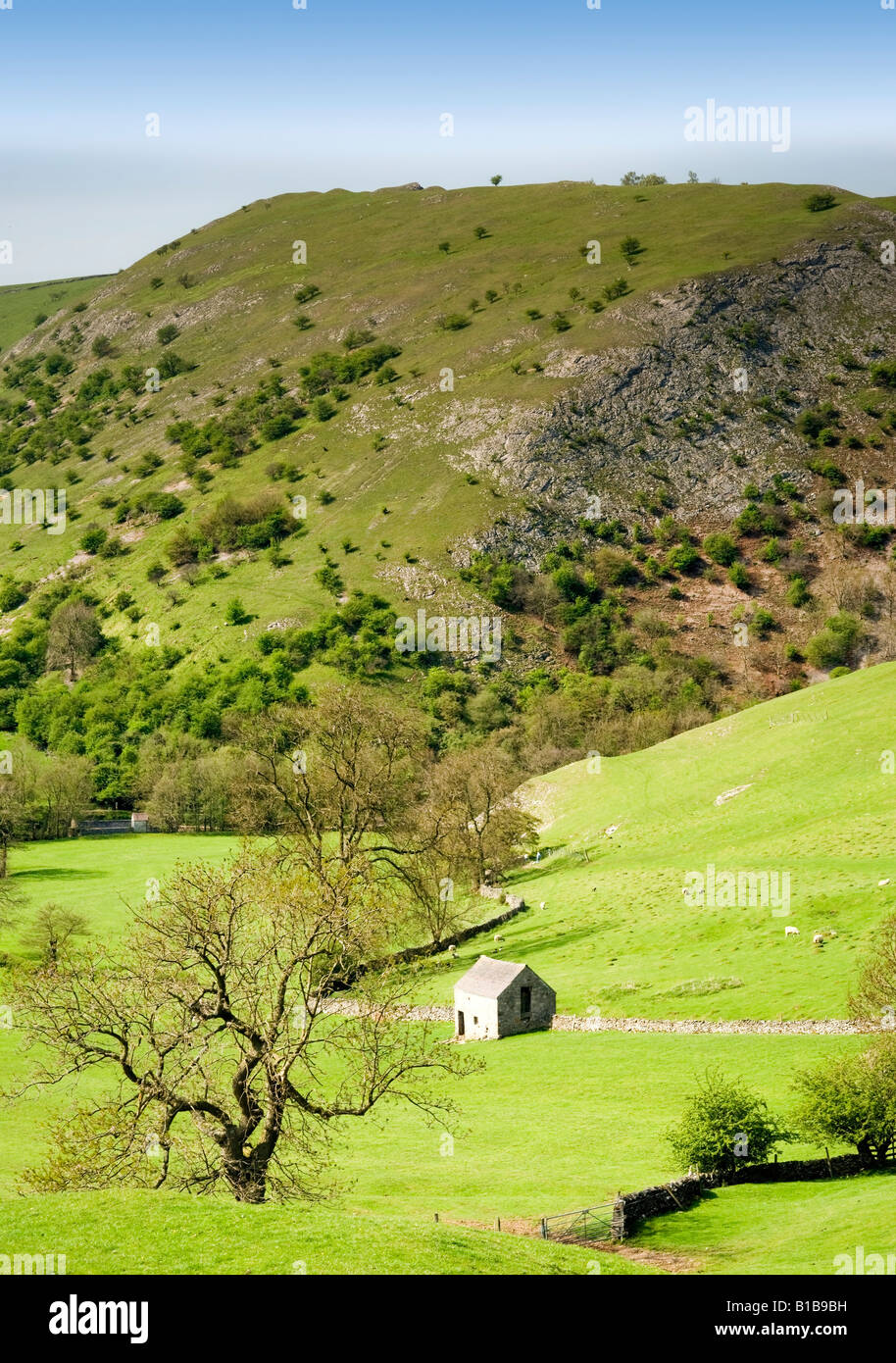 Peak District Landscape With Fields And Dry Stone Walls Stock Photo - Alamy