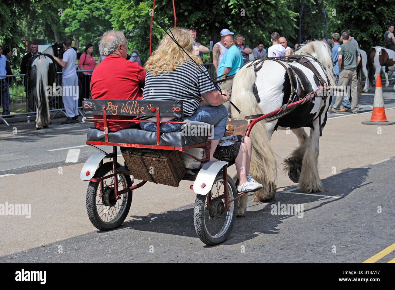 'Big Wullie', gypsy travellers driving horse and trap. Appleby Horse Fair. Appleby-in-Westmorland, Cumbria, England. Stock Photo