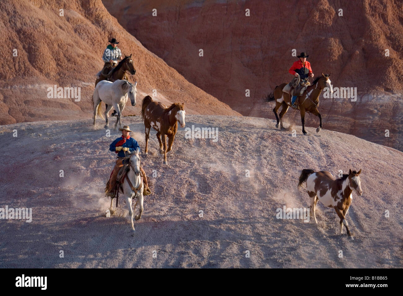Roundups hi-res stock photography and images - Alamy