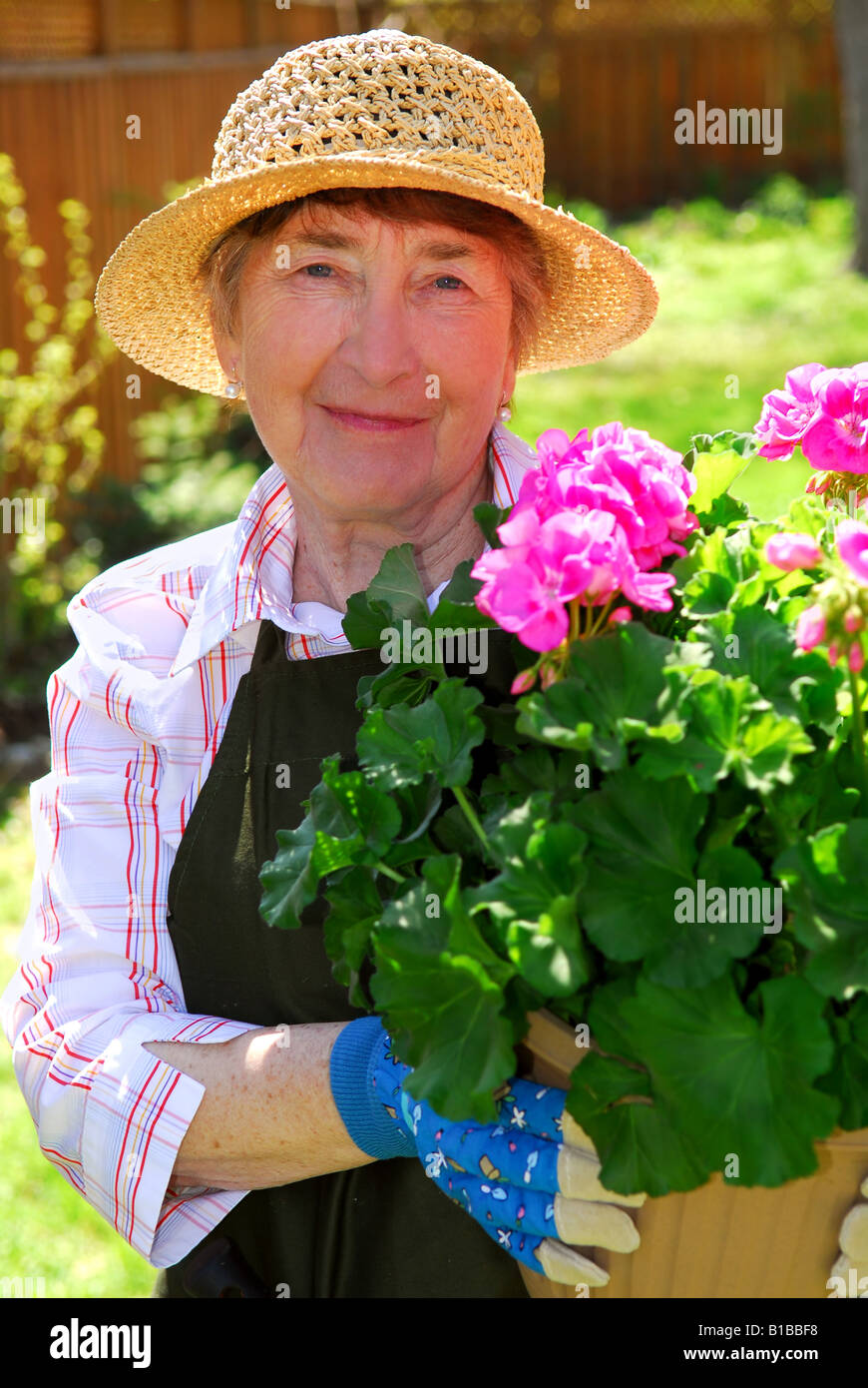 Attractive senior woman holding a pot with flowers in her garden Stock ...