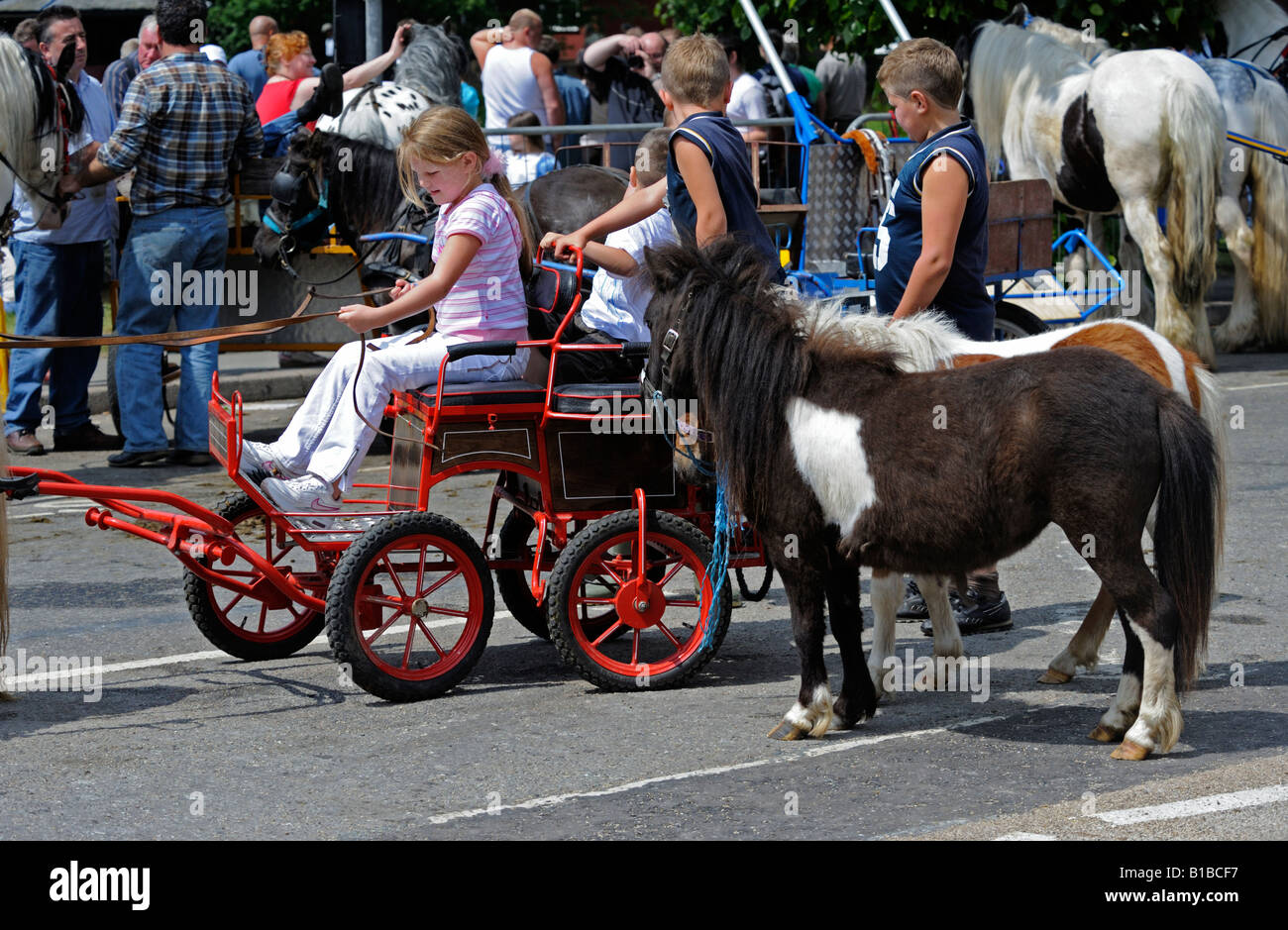 Miniature cart and ponies at Appleby Horse Fair. Appleby-in-Westmorland, Cumbria, England, United Kingdom, Europe. Stock Photo