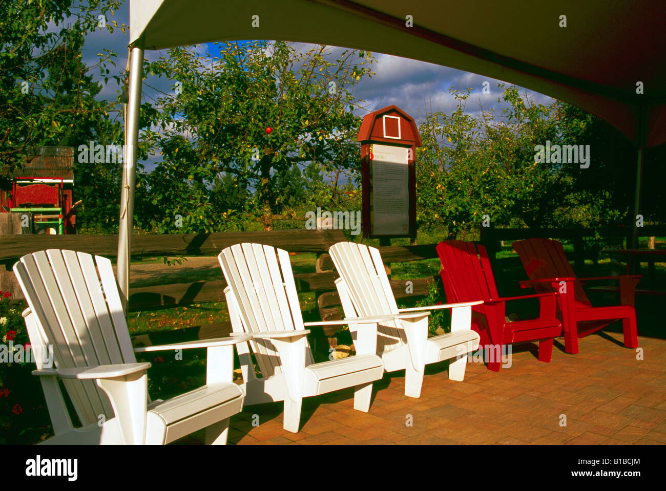 Adirondack Chairs, Vancouver Island, BC, British Columbia, Canada A