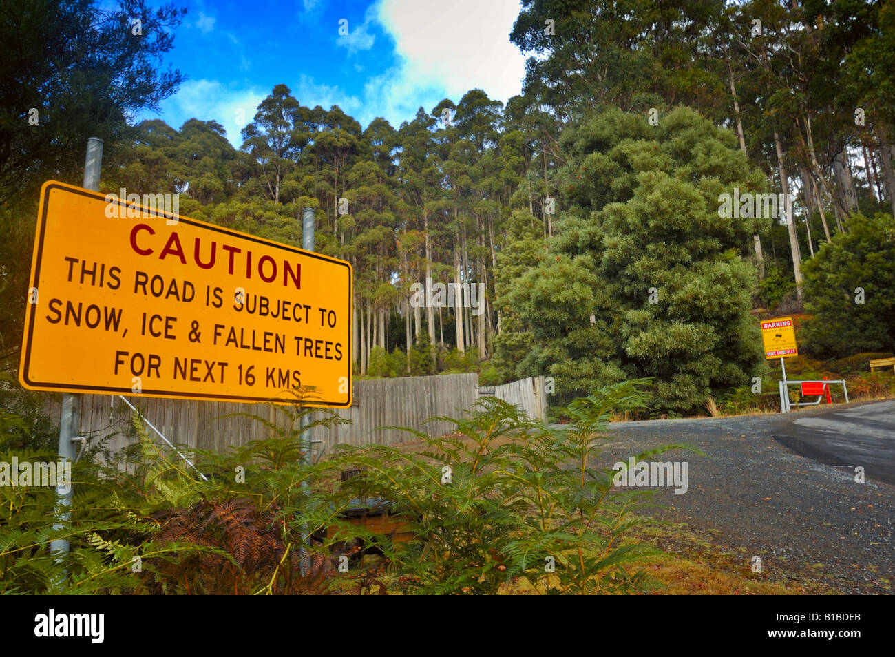 The road to Lake Dobson Stock Photo Alamy