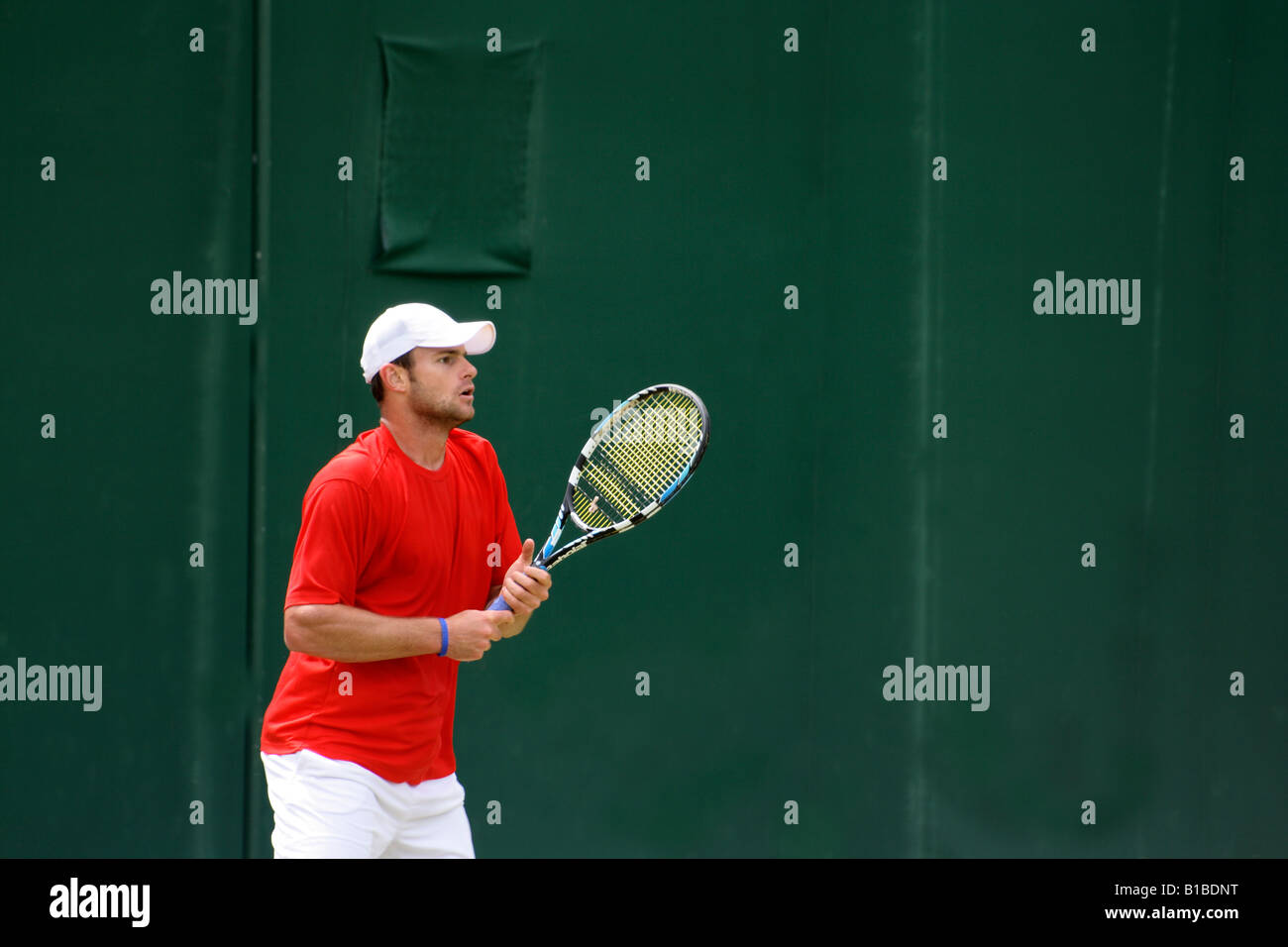 Stella andy hi-res stock photography and images - Alamy