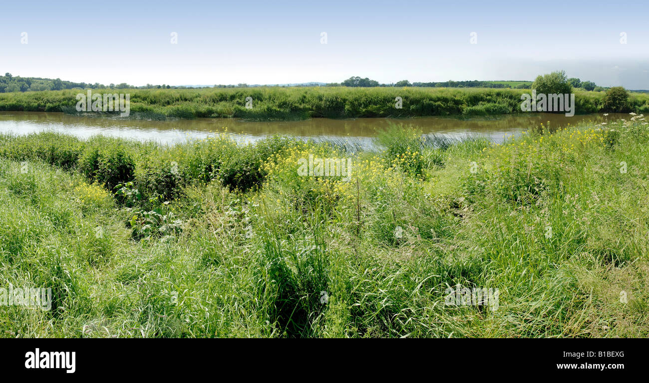 British Rivers Avon the river avon bidford on avon warwickshire the midlands england uk ...