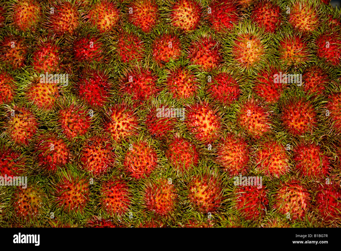 Rambutan tropical fruits thailand hi-res stock photography and images ...