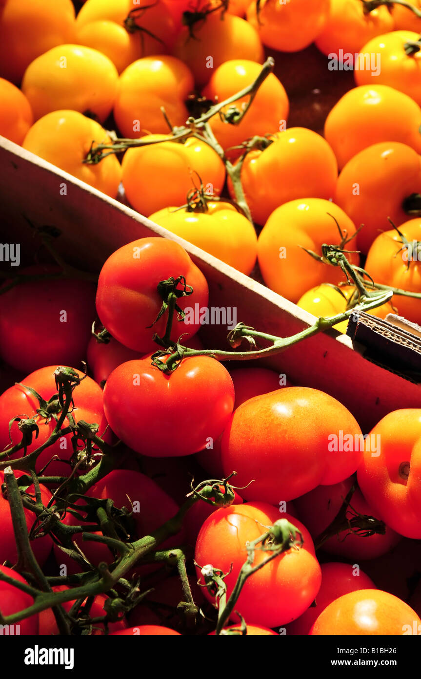 Colorful tomatoes for sale on farmer s market Stock Photo
