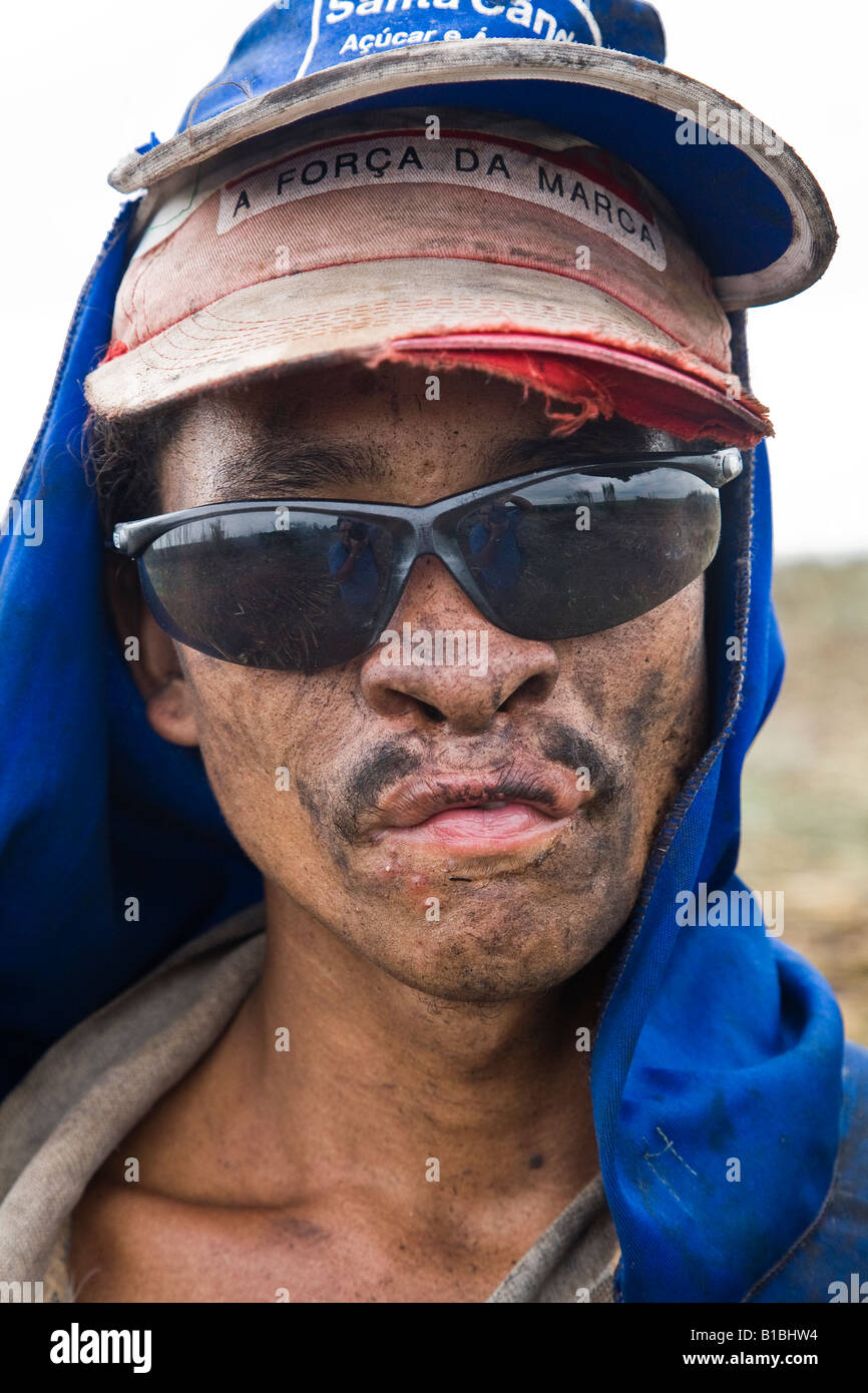 Sugarcane cutter portray Sao Paulo State Brazil Biofuel Alfredo Tonon e Outros ethanol and sugar plant Santa Candida city region Stock Photo