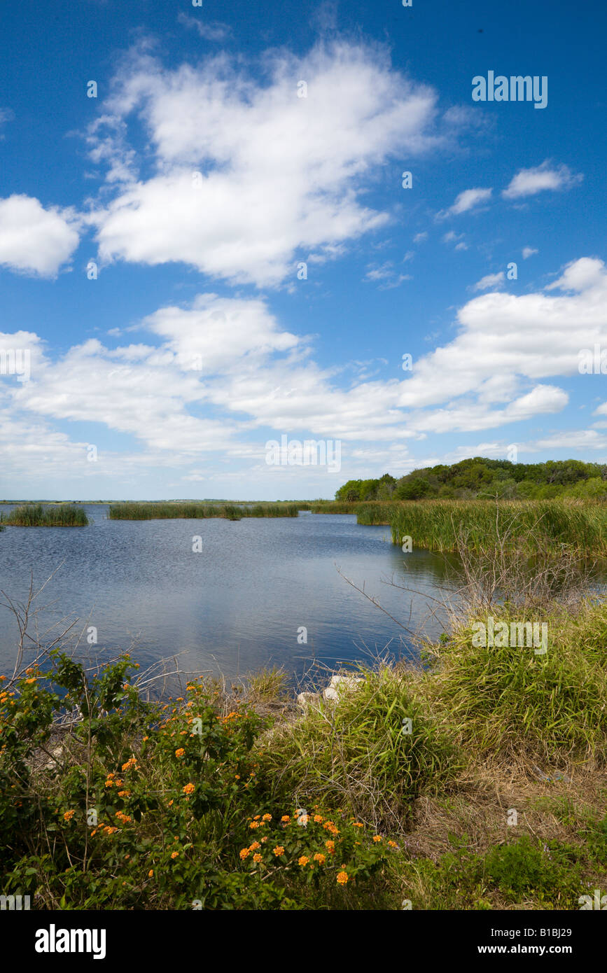 Landscape of wetlands swamp at Emeralda Marsh in Central Florida USA Stock Photo