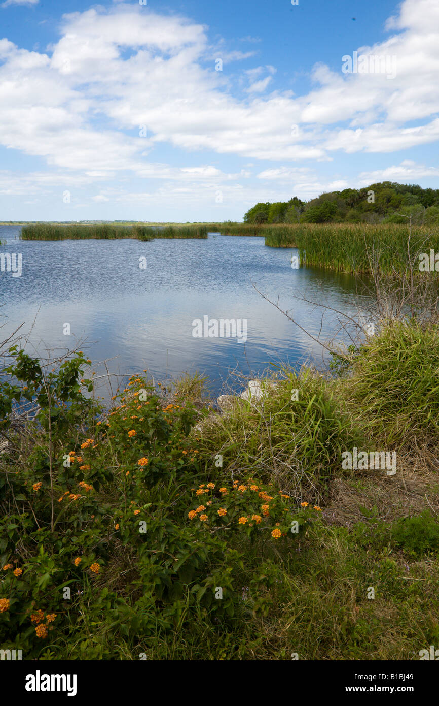 Landscape of wetlands swamp at Emeralda Marsh in Central Florida USA Stock Photo