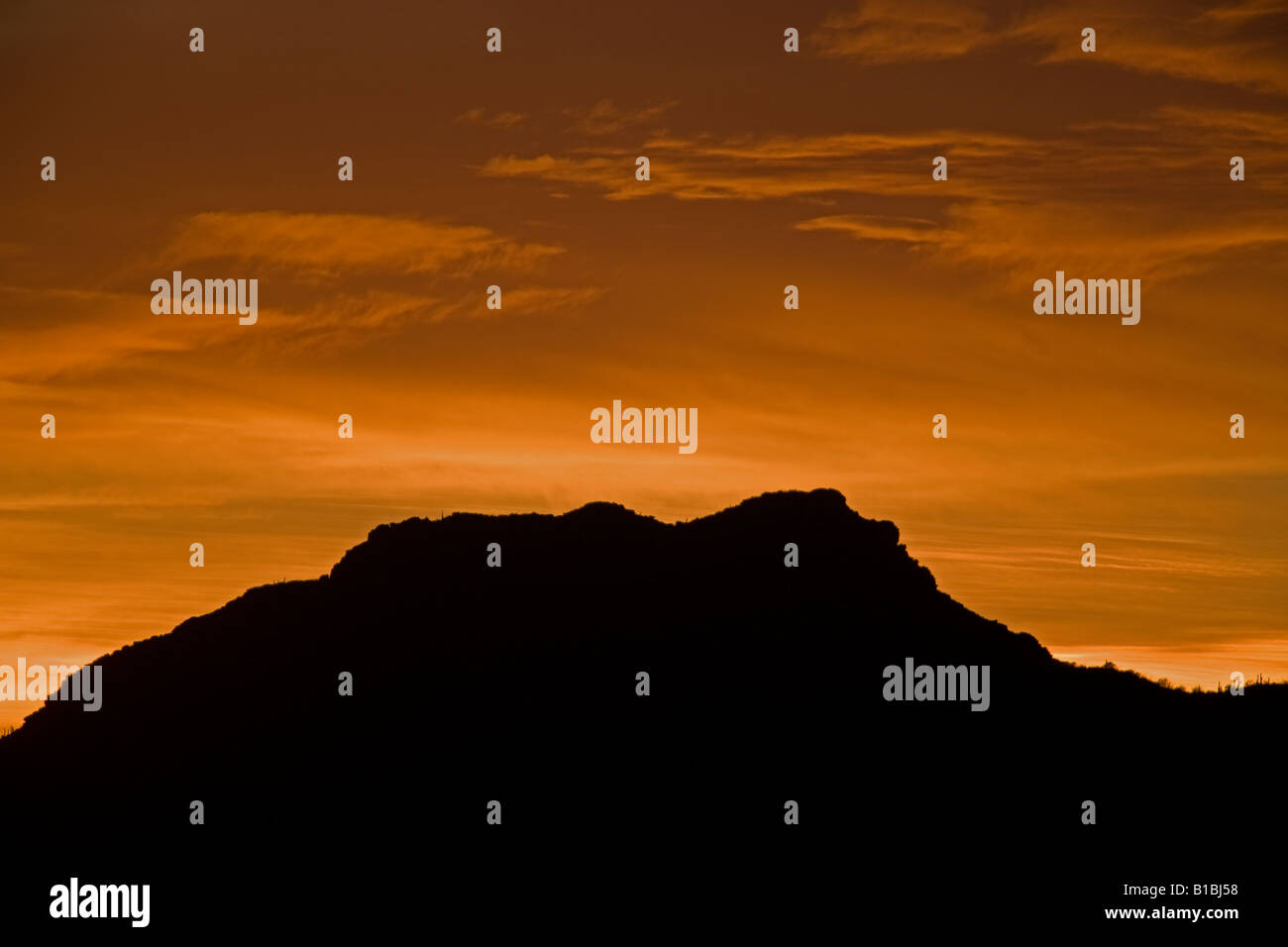 Sunset in Sonoran Desert of Arizona Stock Photo - Alamy