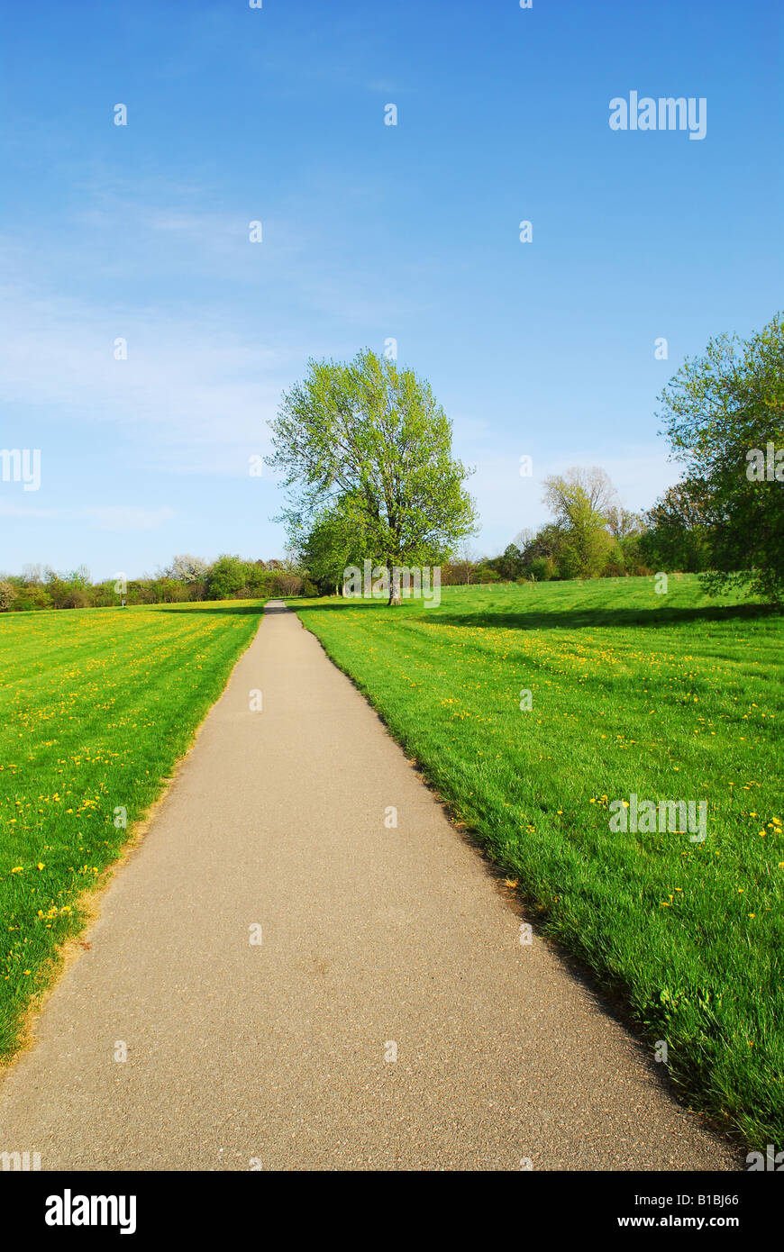 Empty spring trail hi-res stock photography and images - Alamy