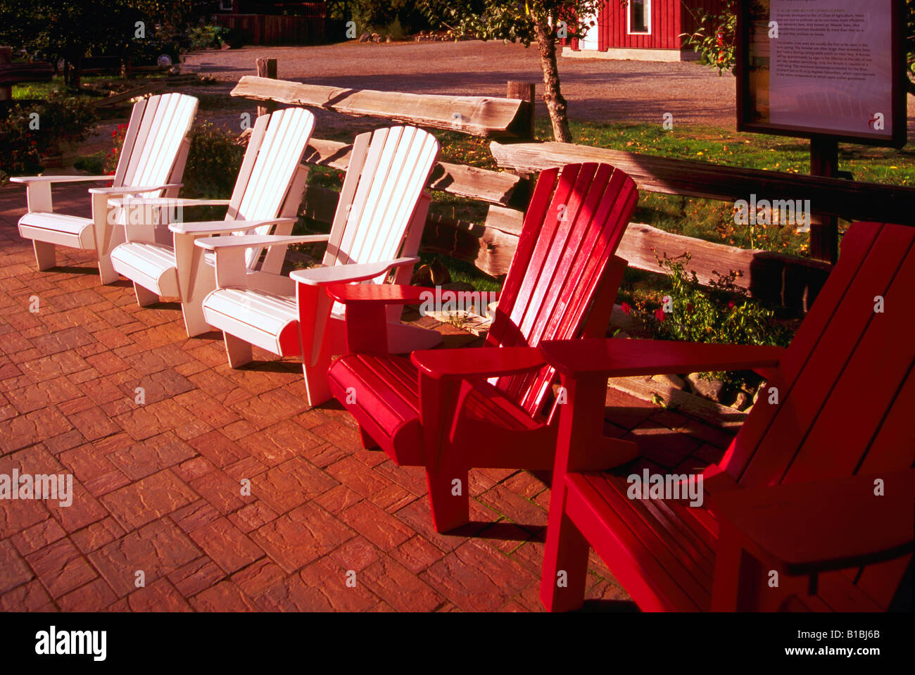 Adirondack Chairs, Vancouver Island, BC, British Columbia, Canada Row