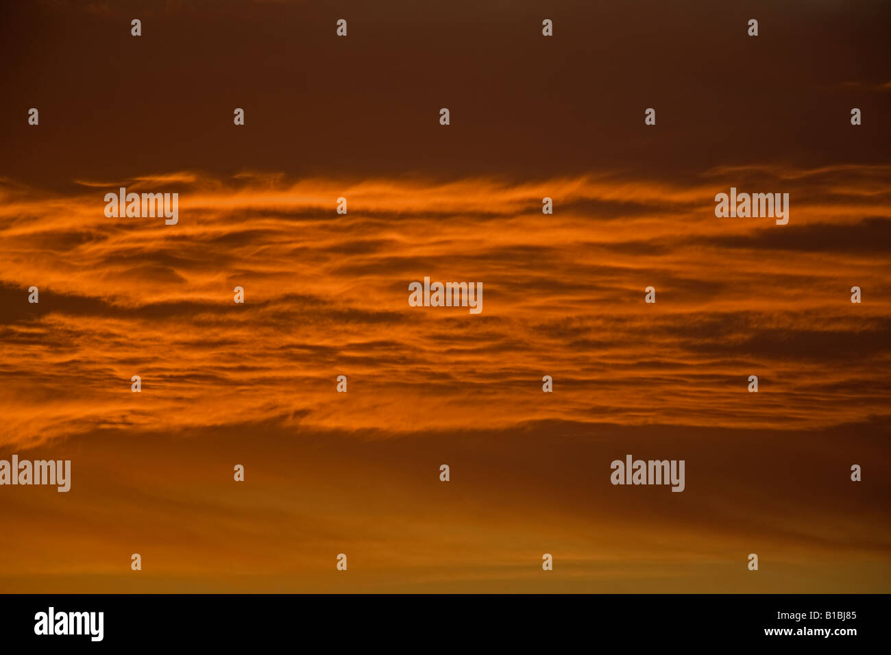 Sunset in Sonoran Desert of Arizona Stock Photo - Alamy