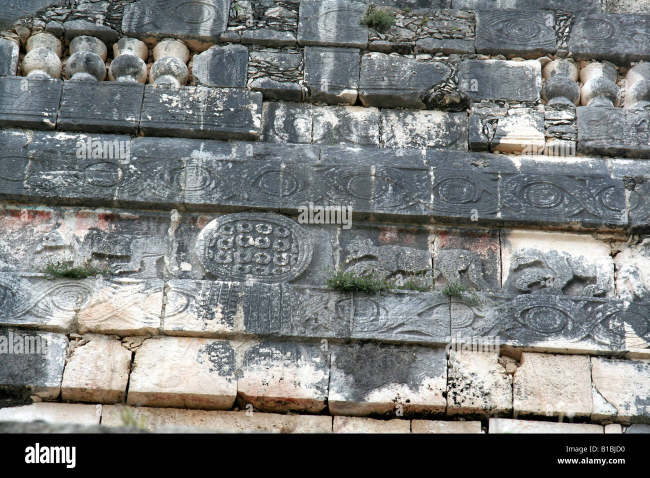 Mayan Jaguar Hieroglyphs Stock Photo
