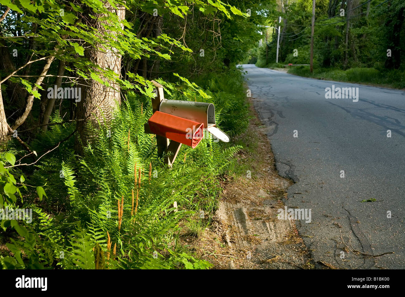 Photograph of a newspaper box and mail box on the side of a country
