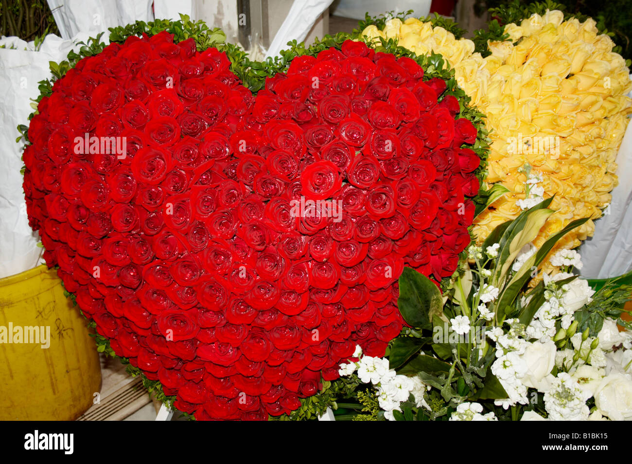Hong Kong Flower Market, Hong Kong, China Stock Photo Alamy