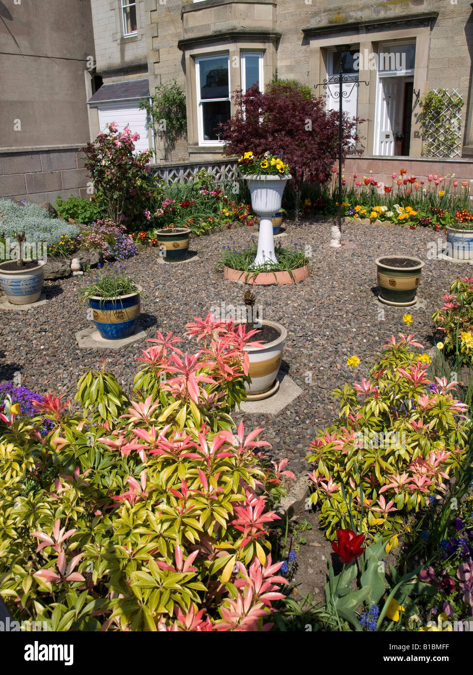 Front garden of a house in Kelso Scotland Stock Photo Alamy