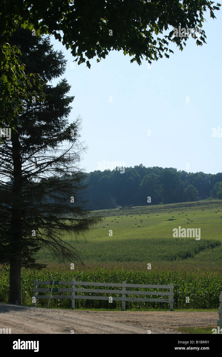 Amish Farm Land Central Ohio Amish farmer small size in mid picture