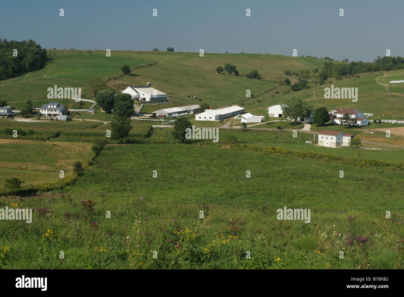 Amish Country Farm Central Ohio Near Berlin Ohio Stock Photo Alamy
