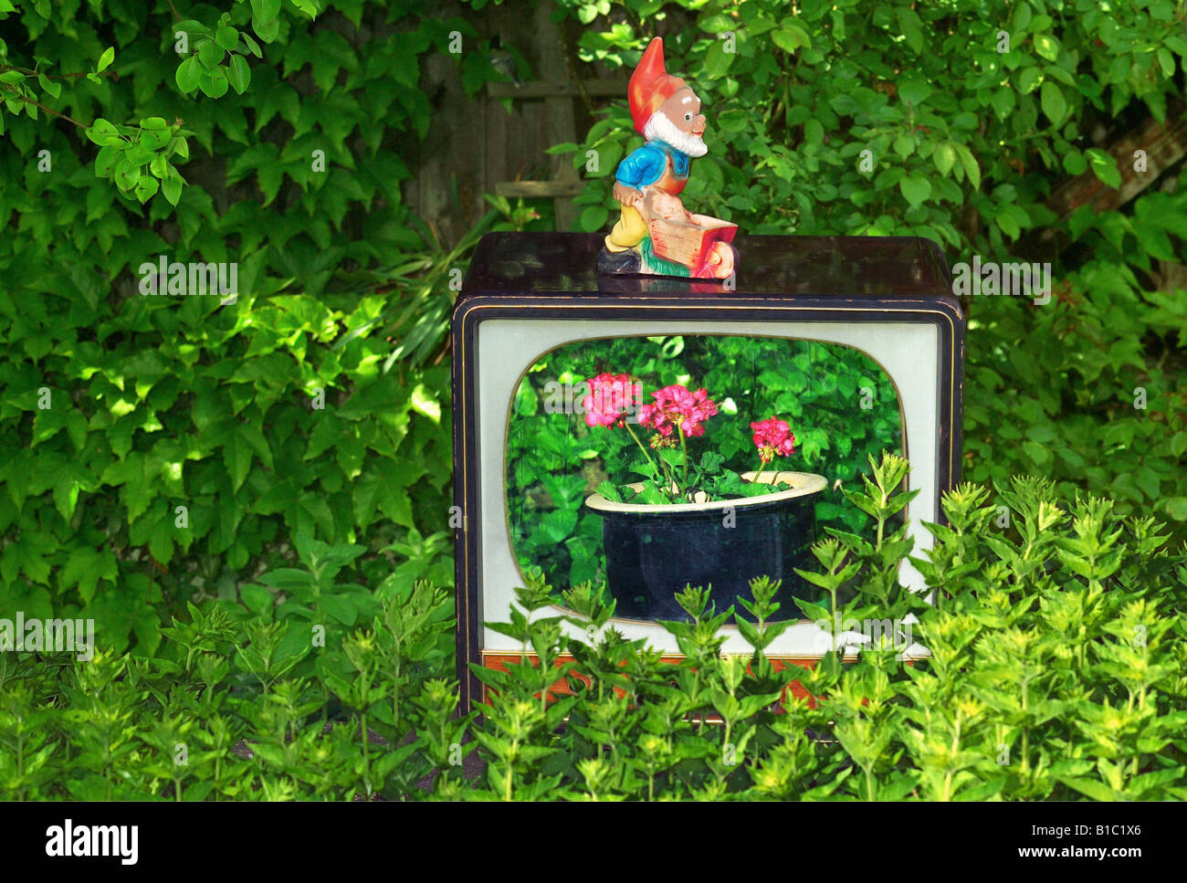 oddity, garden gnome standing on TV case, Additional-Rights-Clearance-Info-Not-Available Stock Photo