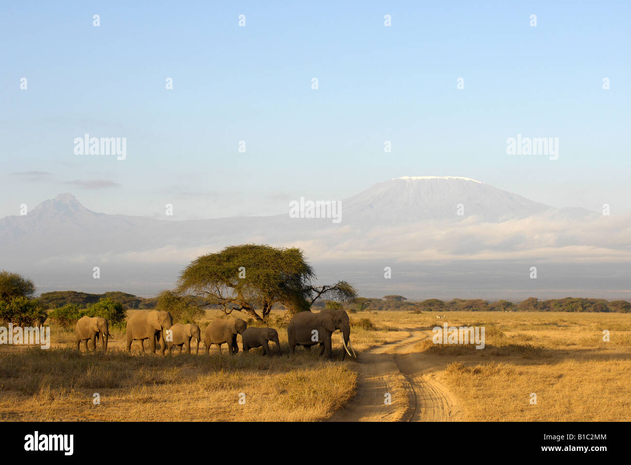 geography / travel, Kenya, Kimana Reservation, Mount Kilimanjaro, group