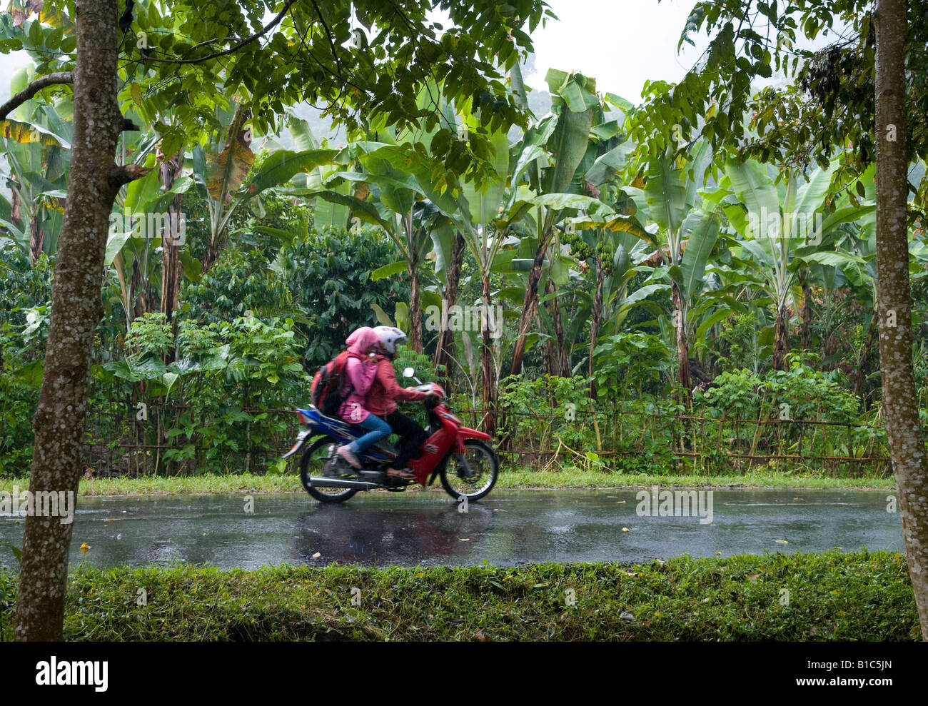 Indonesia Lombok Island 2 people riding on a motorbike in lush forest ...