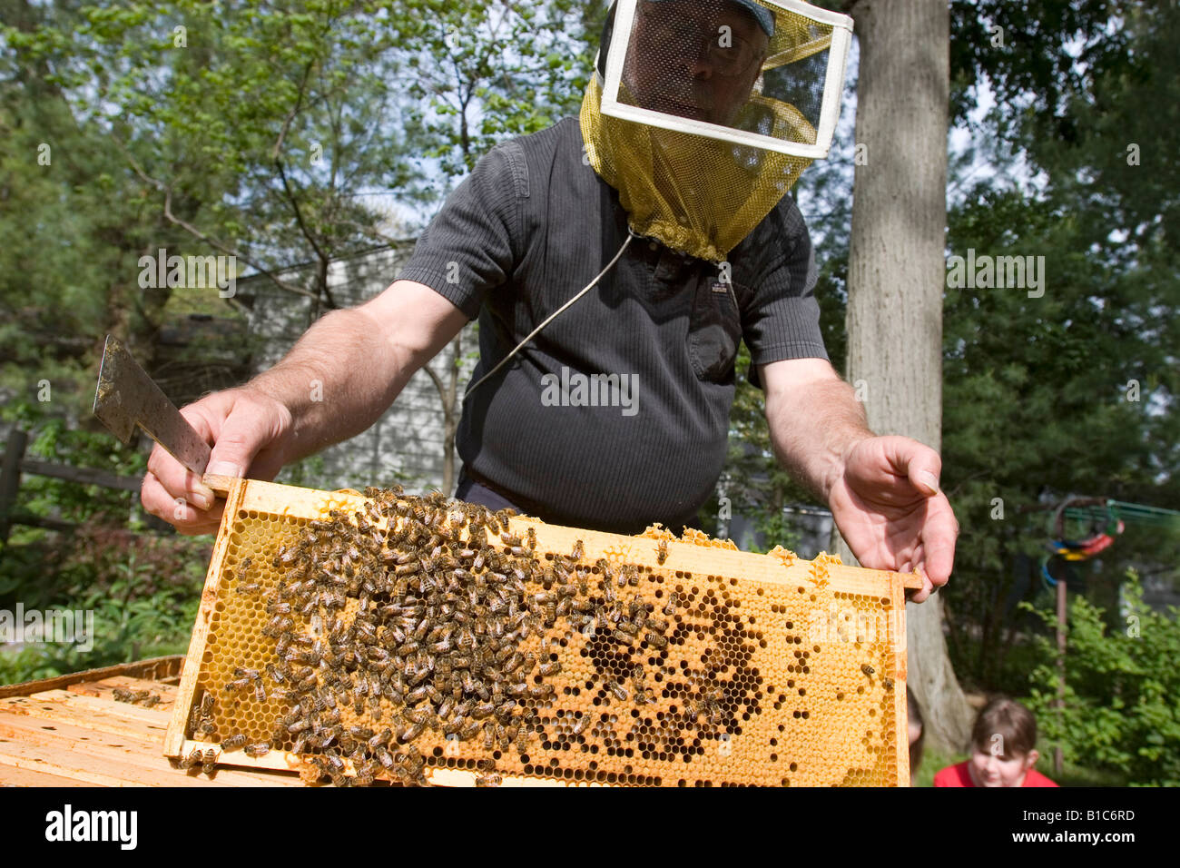 Royal Oak Michigan Beekeeper Rich Wieske teaches a class about honey bees and beekeeping Stock Photo