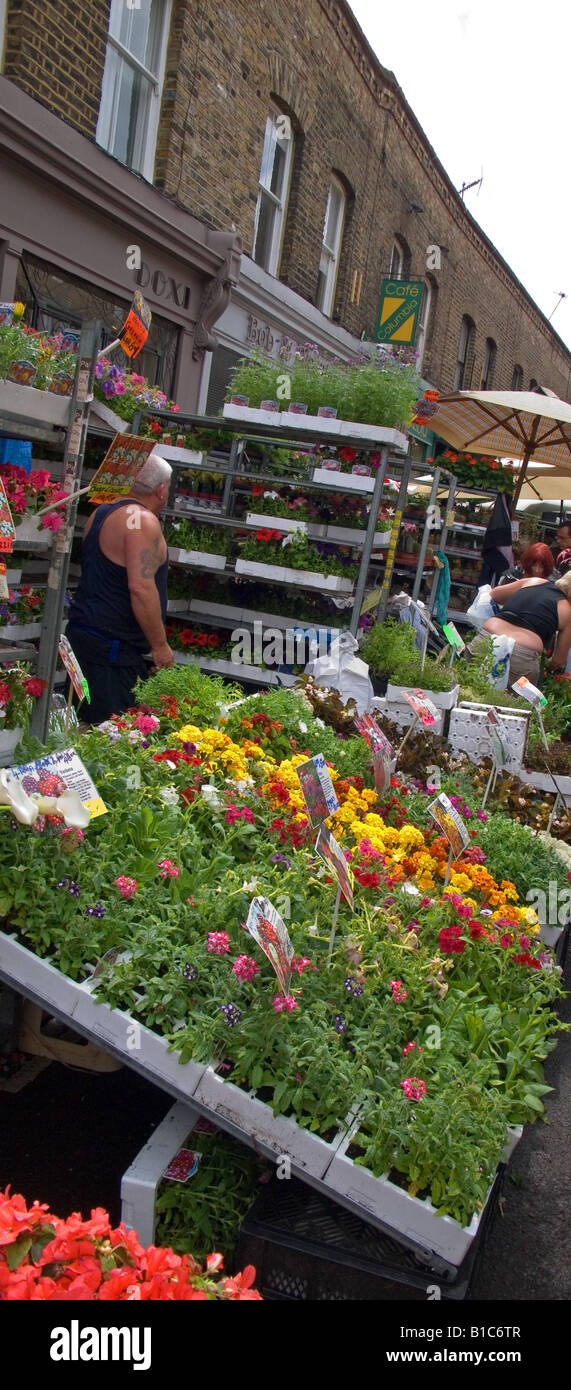 Columbia Road Market London E2 England UK Stock Photo