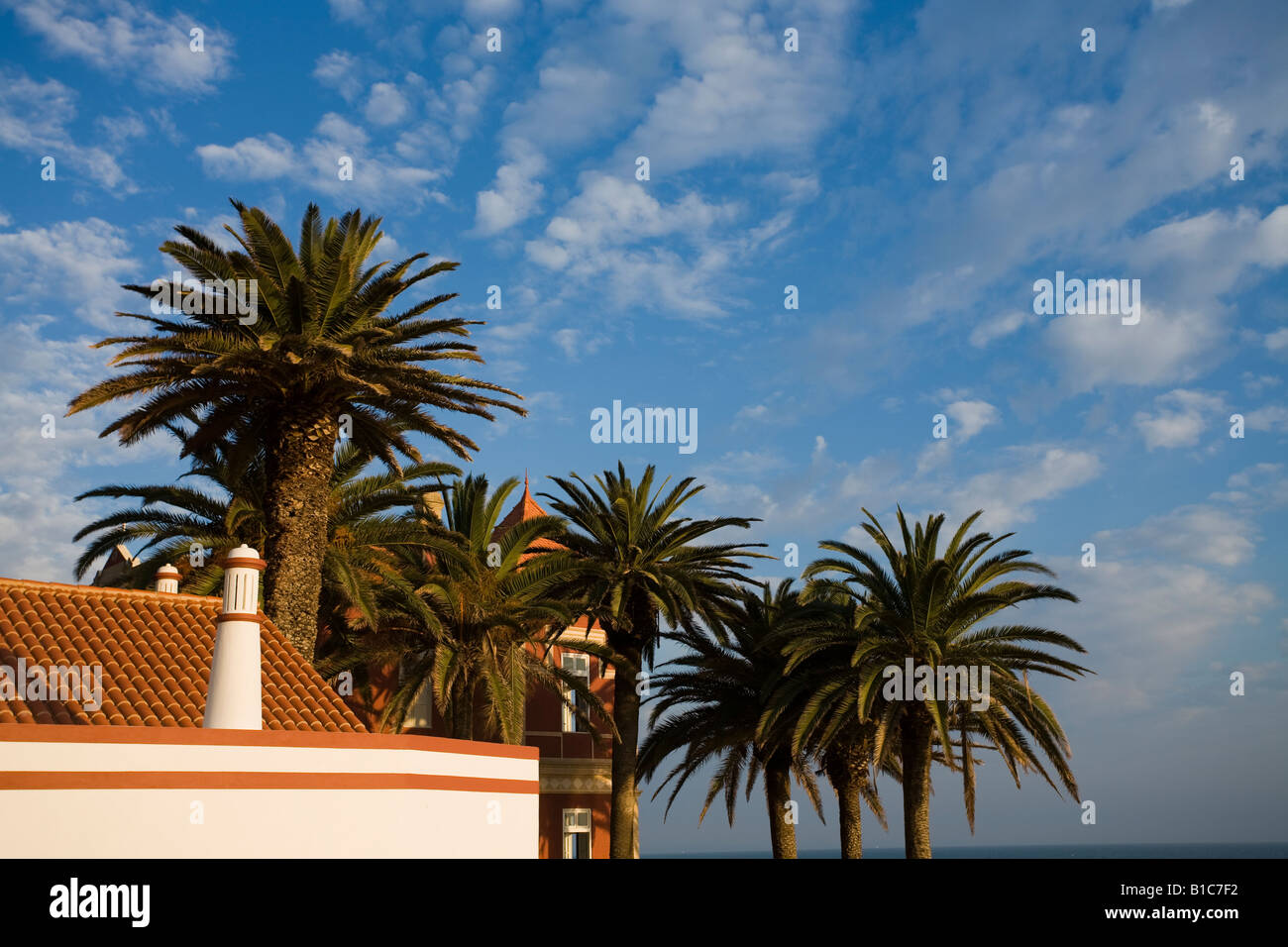 House with palm trees on the Praia do Armacao de Pera Algarve Portugal Stock Photo