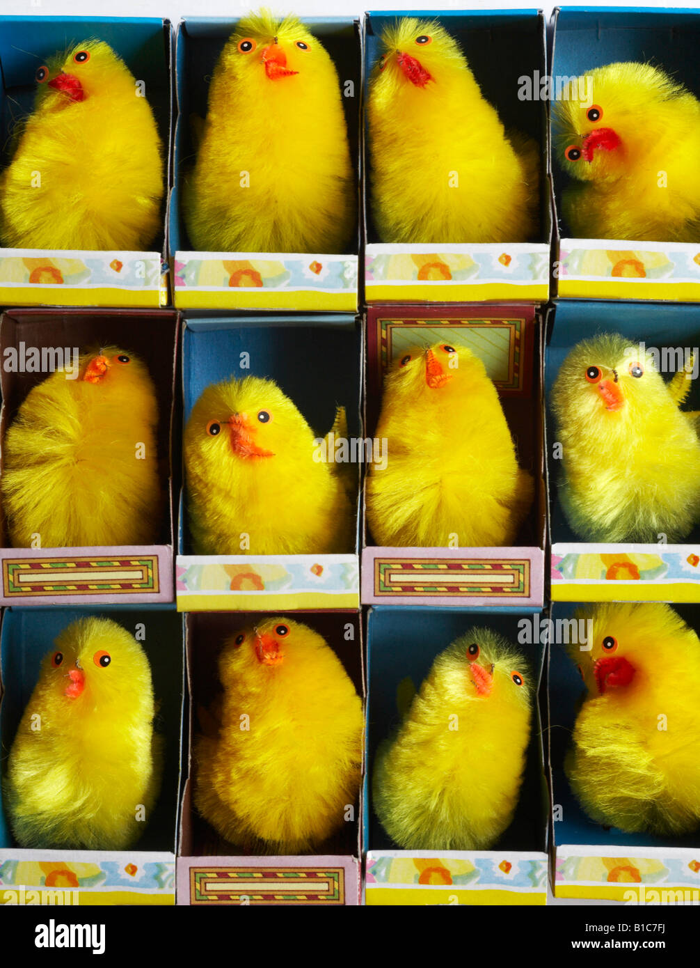 Now we know what battery hens feel like - chickens hens overcrowded ...
