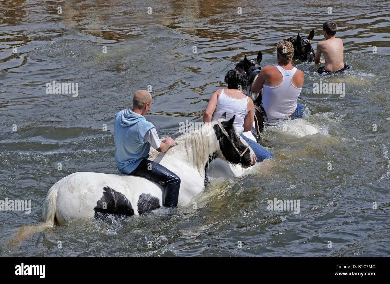 Gypsy travellers riding in River Eden. Appleby Horse Fair. Appleby-in-Westmorland, Cumbria, England, United Kingdom, Europe. Stock Photo
