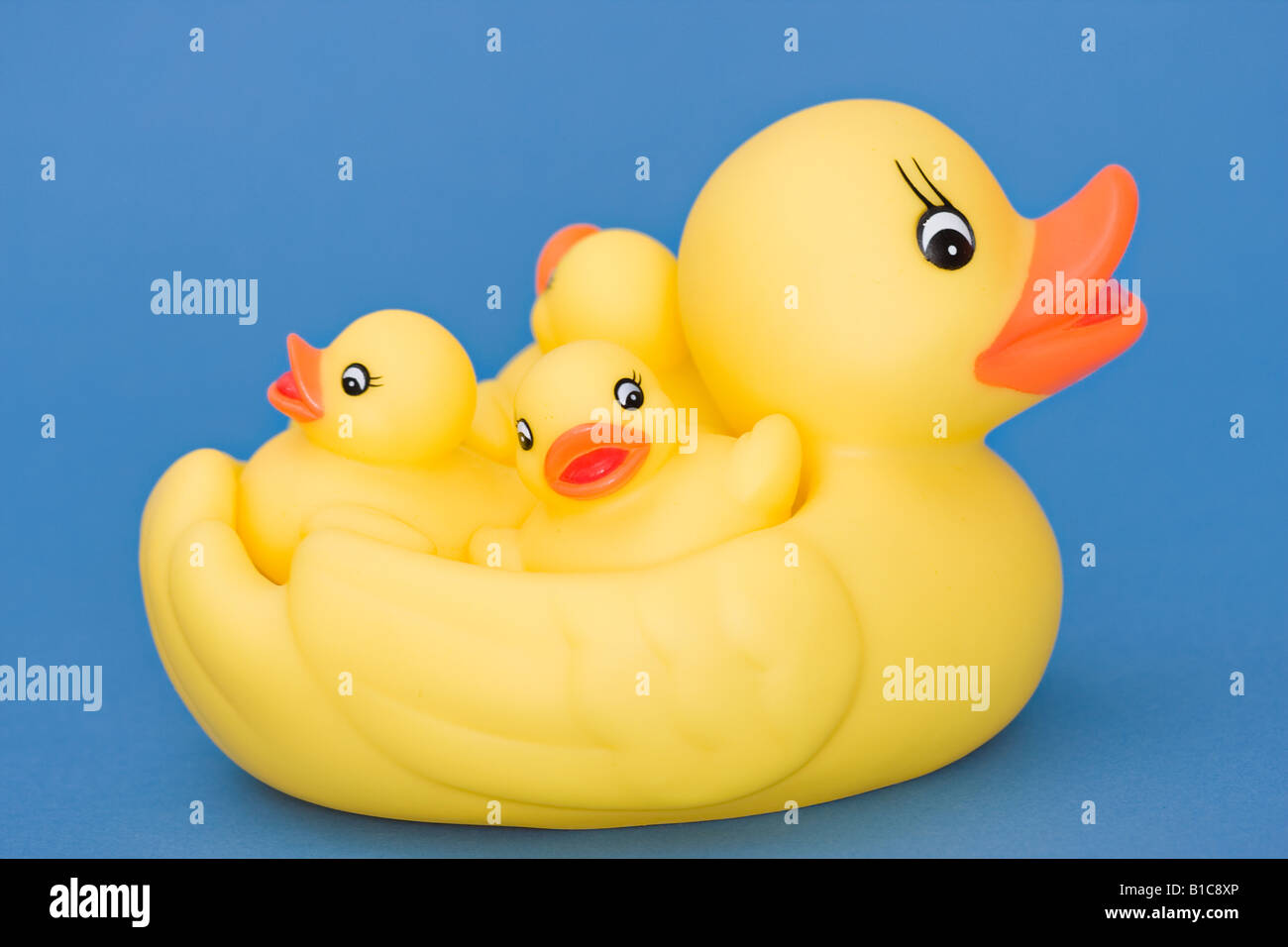A cute little family of yellow rubber ducks against a plain blue ...